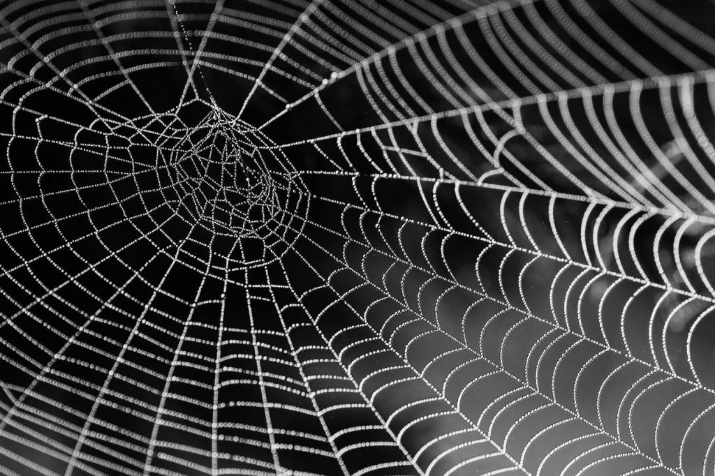  Dark Web