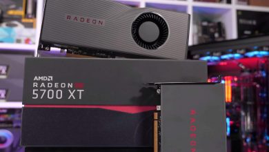 AMD experienced a 6 percent increase in graphics processor sales